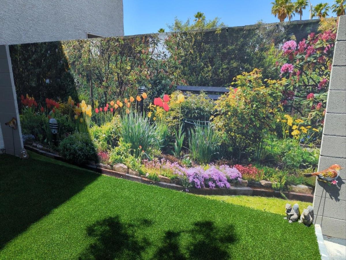 Wall Sensations Transforms Colorless Walls into Sensational, Colorful