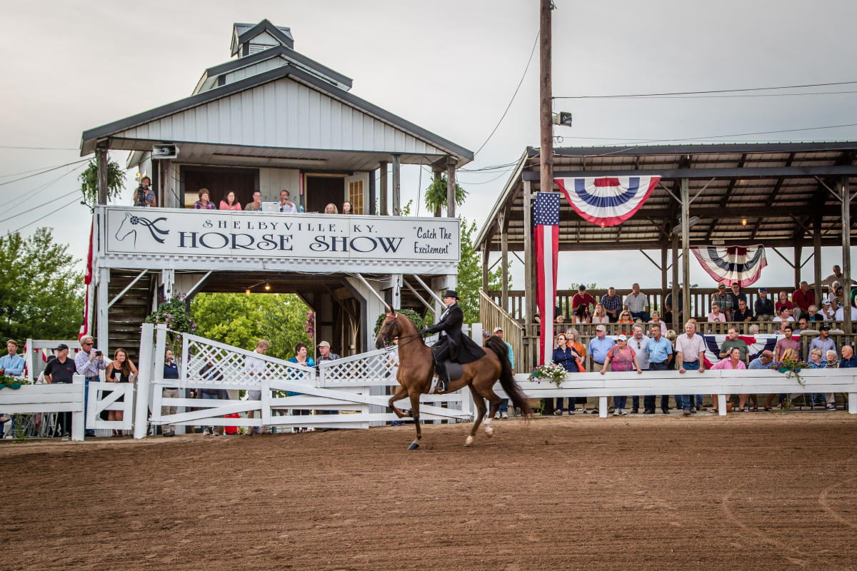 Live from Chevy Chase Shelbyville Horse Show