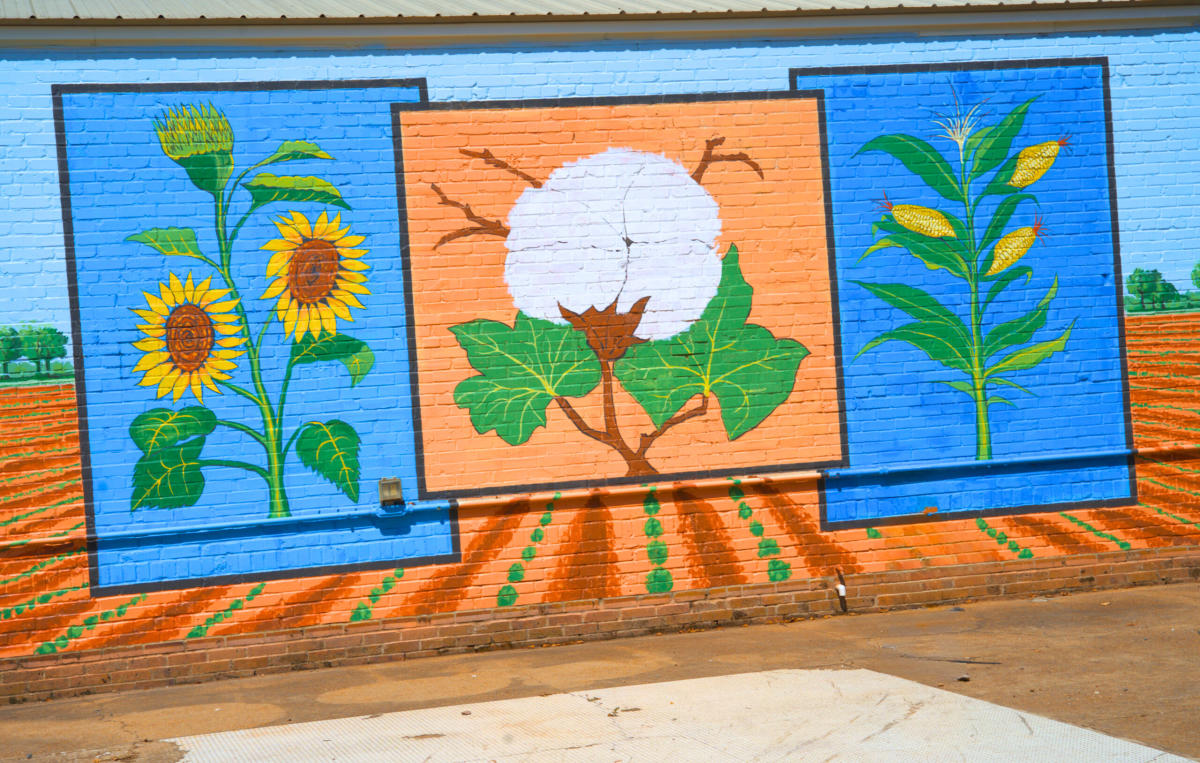 Heritage and Harvest Tour in Gilliam, LA Shreveport