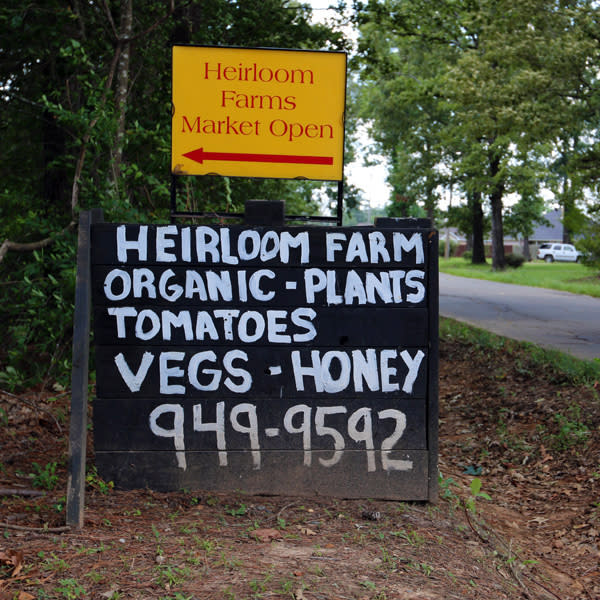Visit Haughton’s Heirloom Farms for Organic, HardtoFind Produce