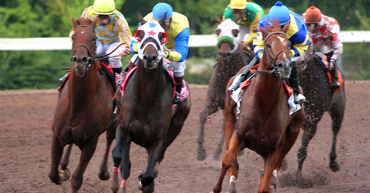 Enjoy thoroughbred racing, quarter horse racing, and yearround live