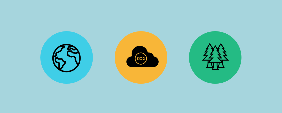 Simpleview is Making an Impact on Climate Change with Ecologi