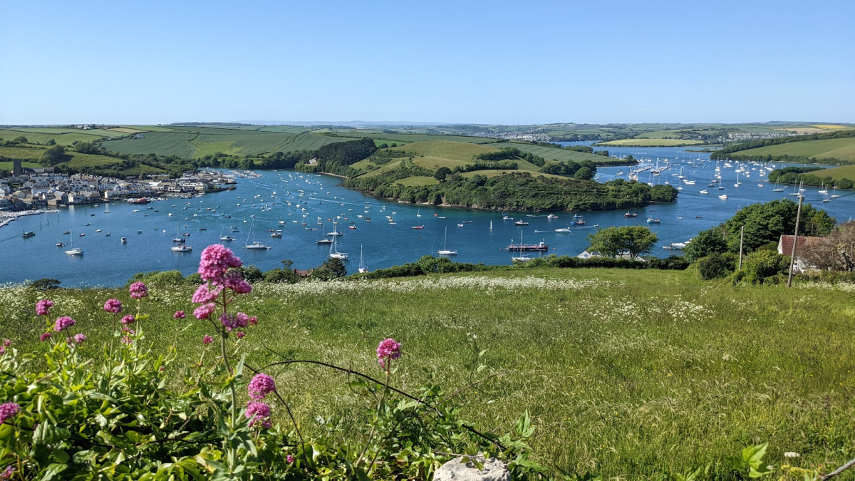 Site Launches for Visit Devon and Associated Channels Celebrate County 