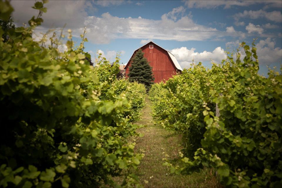 Wineries Of Leelanau County Sleeping Bear Dunes