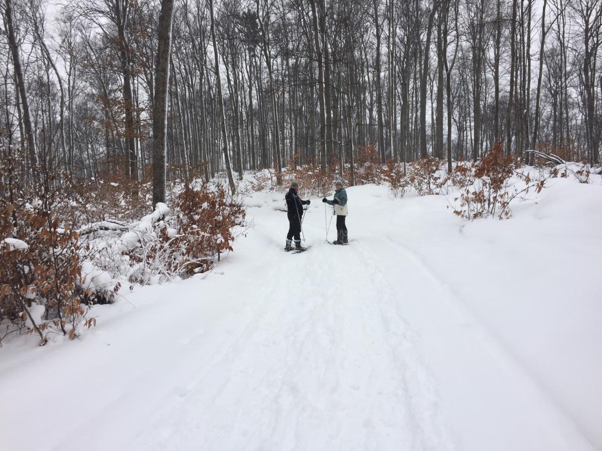 Guided XCountry Ski at Palmer Woods