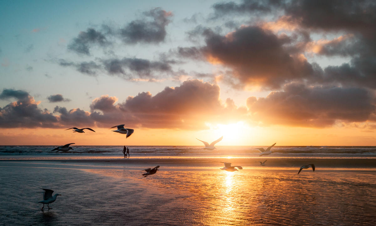 Best Sunset Spots in SLO County Where to watch the sunset in SLO CAL