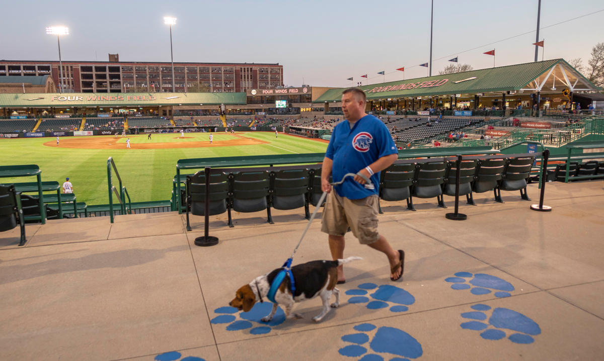 DogFriendly Destinations South Bend & Mishawaka