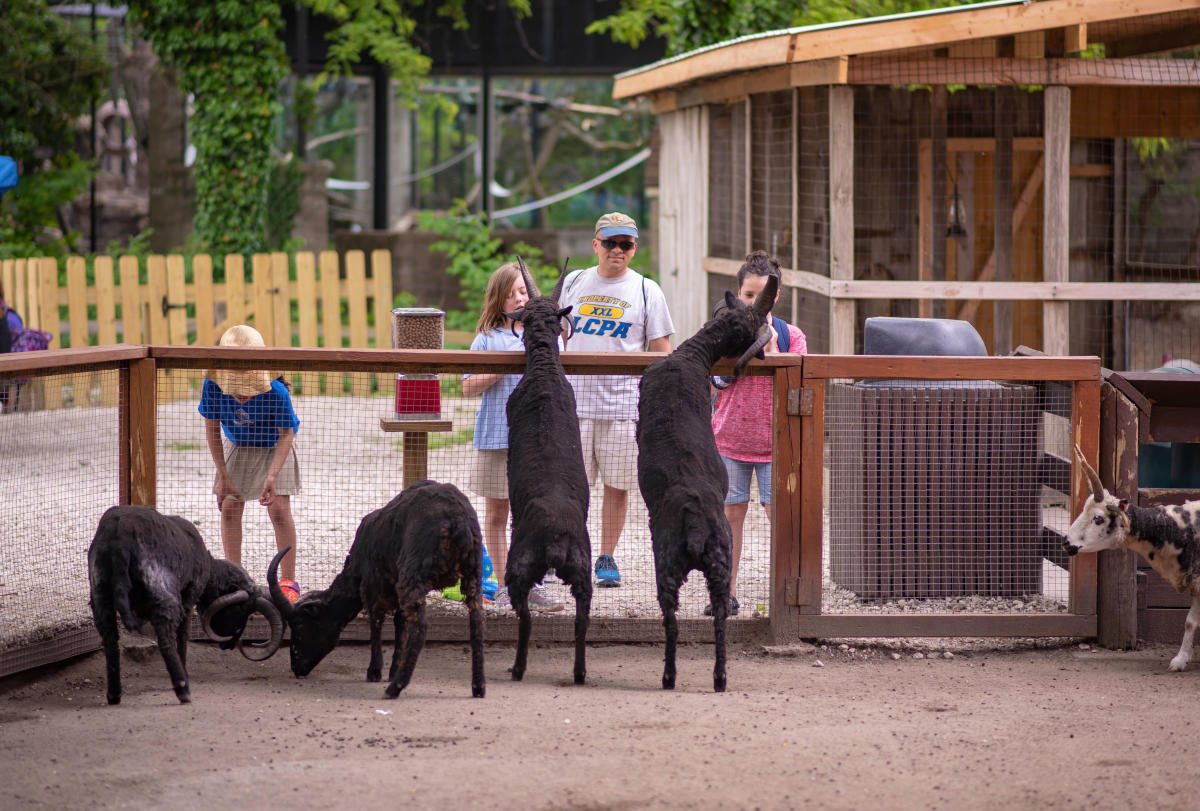 Things To Do With Kids In South Bend Parks, Museums & Zoos