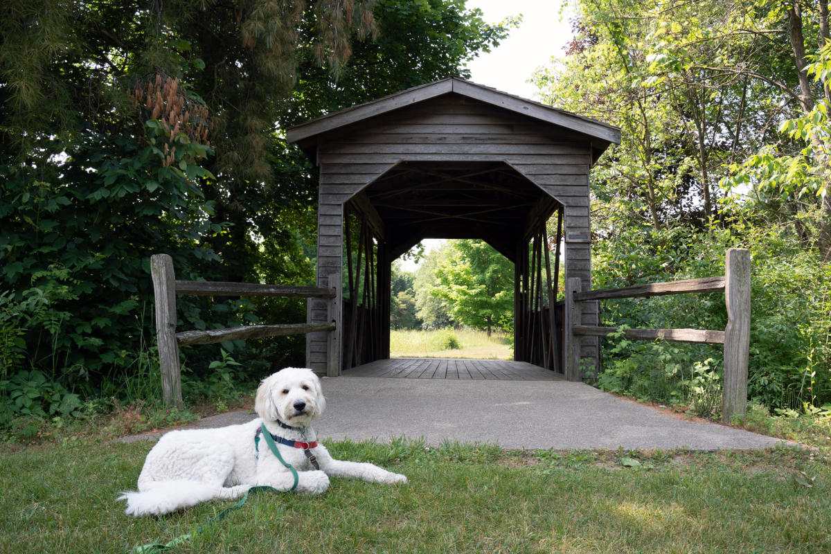 Pet Friendly In South Bend Mishawaka Summer Itinerary