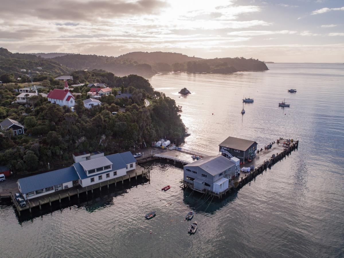 on Stewart Island Southland, New Zealand