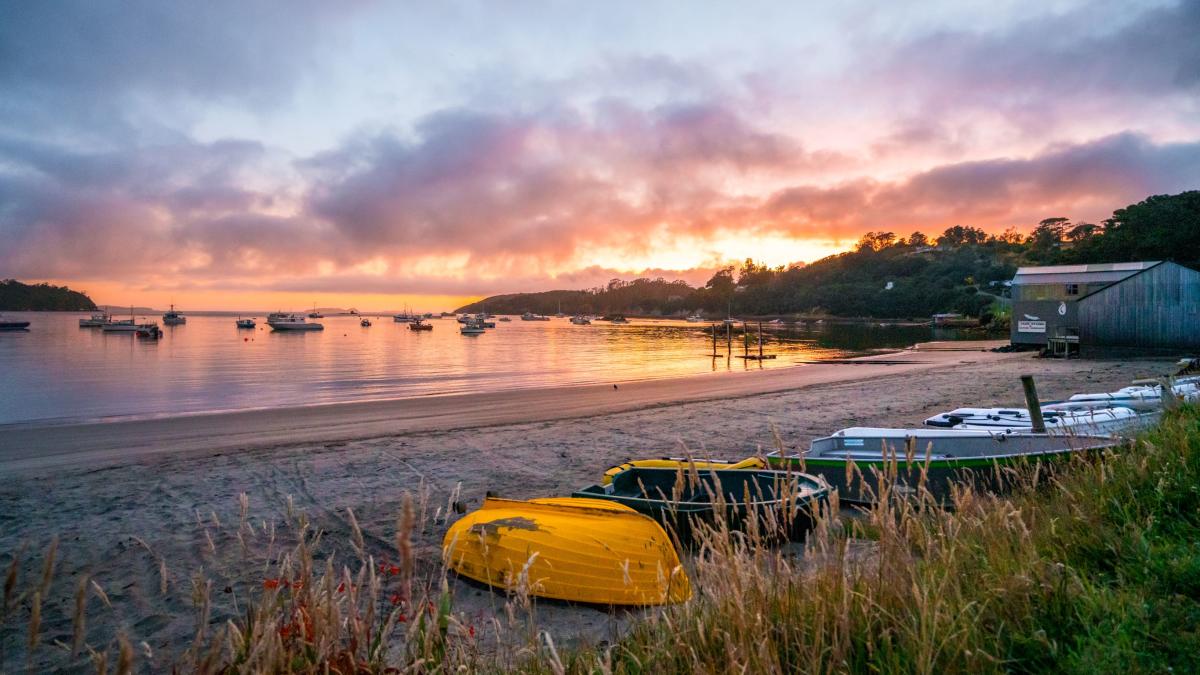 Experience Stewart Island Southland, New Zealand