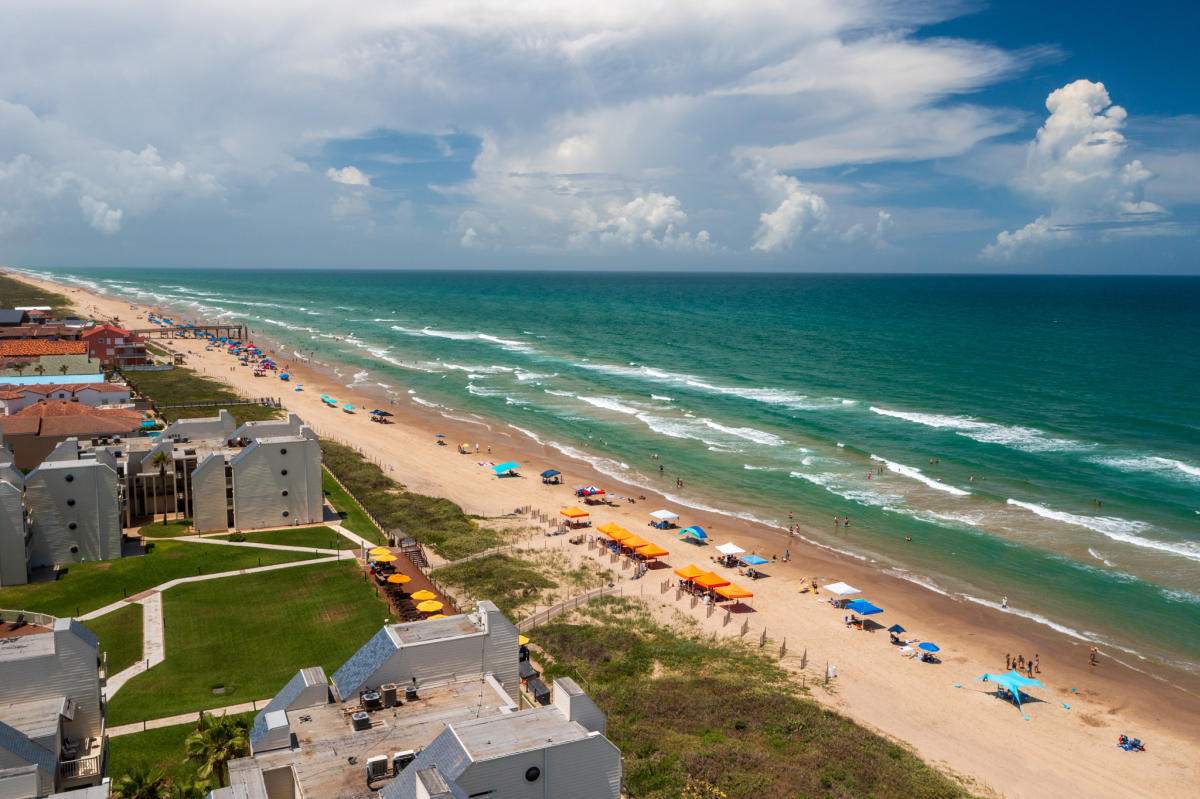 Dog-Friendly Beaches