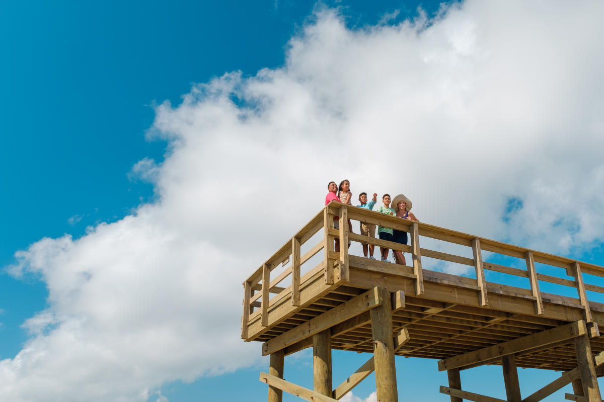 Family-Friendly Activities in South Padre Island | Trip Guide