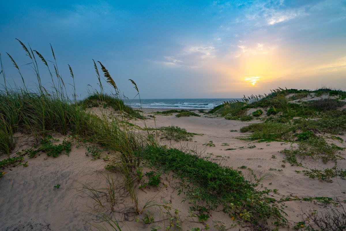 Surprising South Padre Island, Texas A Nature Lover's Perfect Paradise