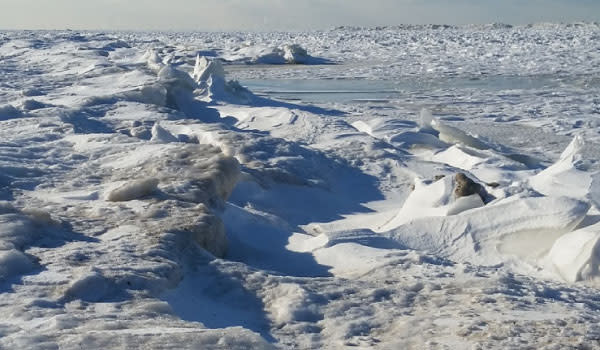 Shelf Ice on Lake Michigan | Indiana Dunes National Park