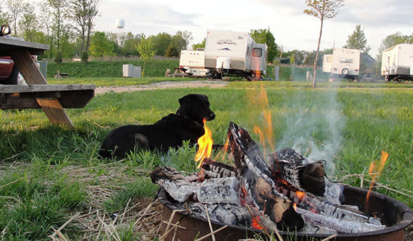 Pet Friendly Breweries Amp Places To Go In Northwest Indiana