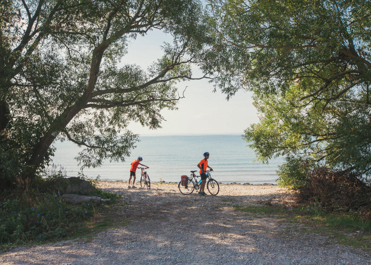 Turkey Point Mtb Bike Trail: Turkey Point