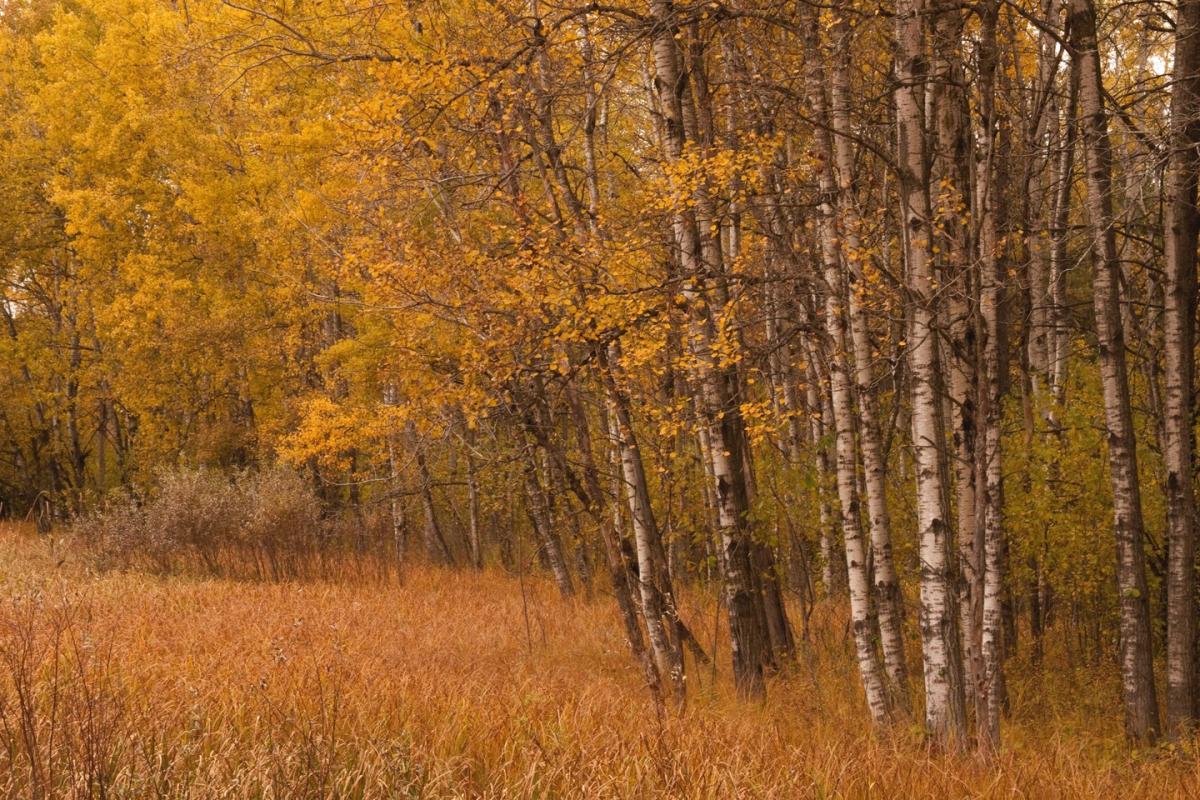 Dewey Shooting Range in Stevens Point Gun & Archery Target