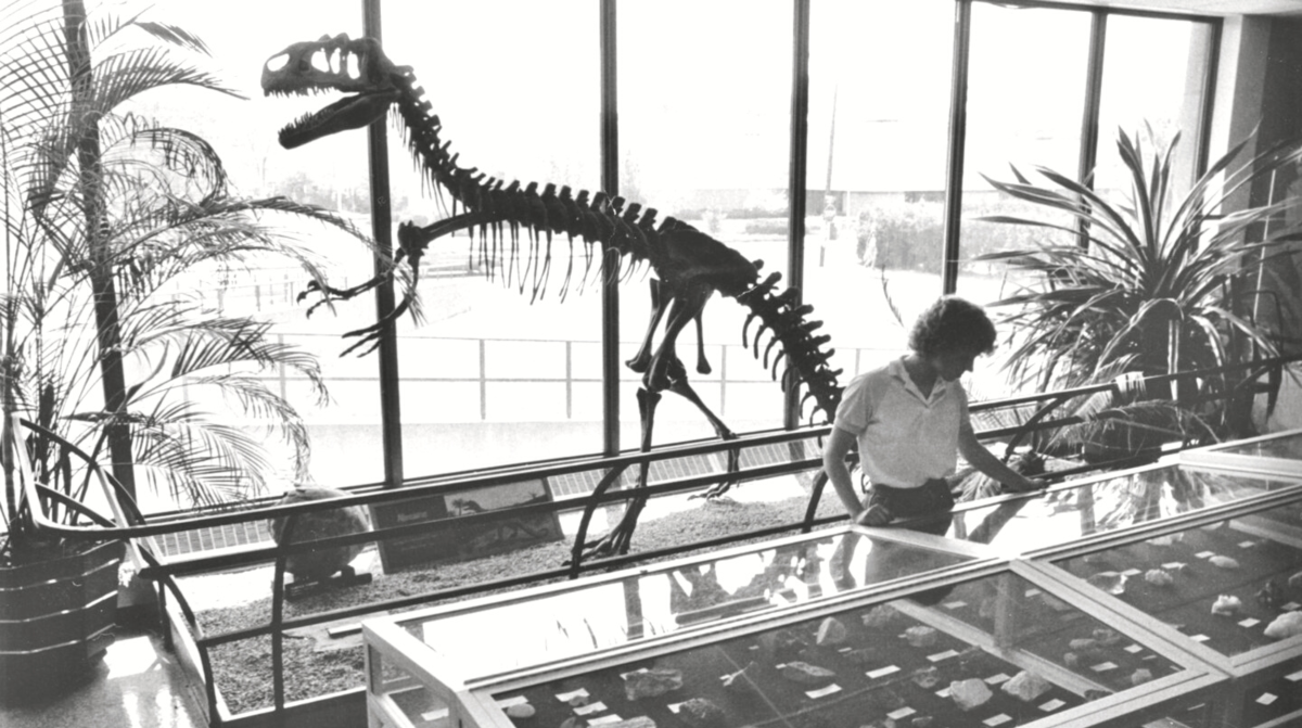 Museums and Historic Sites in Stevens Point, WI | Arts & Culture
