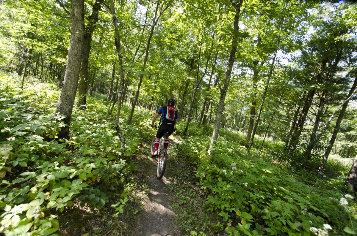 Standing rocks mountain bike trail discount