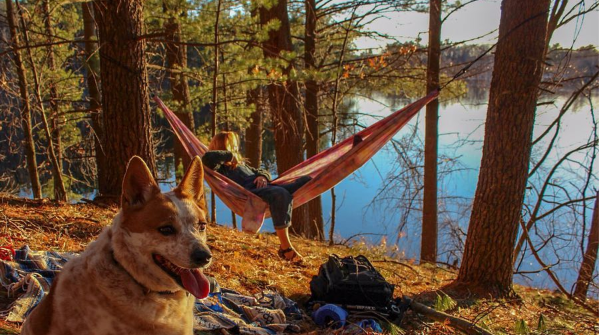 Perfect Weekend Plans | Stevens Point Area Getaway Guide