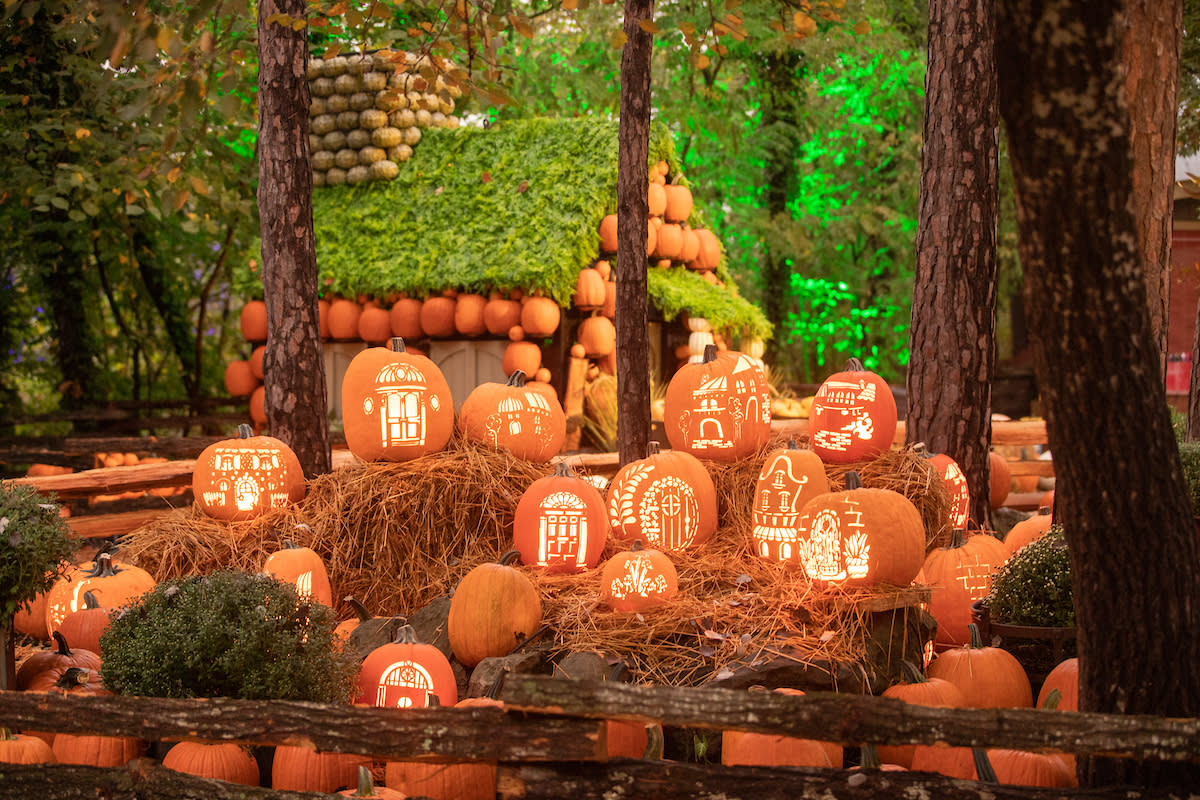 Fall events top near me