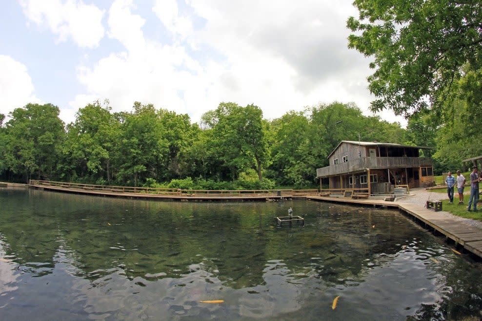 Mountain Springs Trout Park