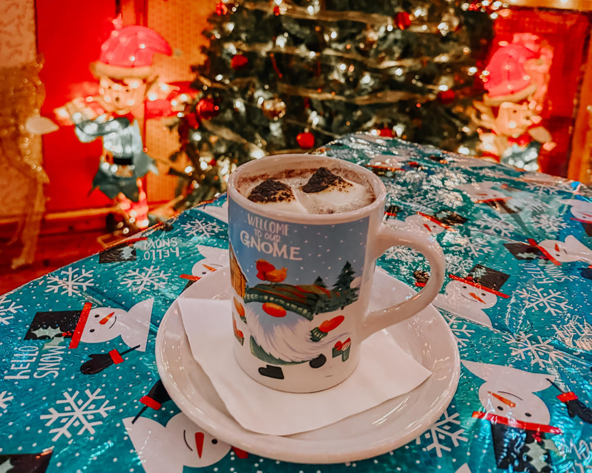 Top Winter Drinks in Springfield: Hot Cocoa, Cider, and Seasonal Cocktails