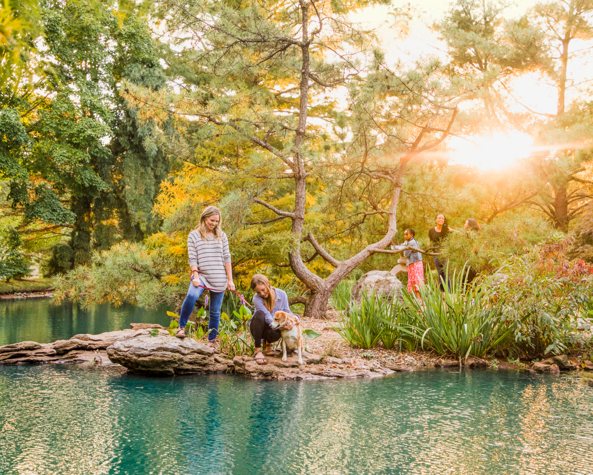 The A-Z Guide To Springfield, Missouri