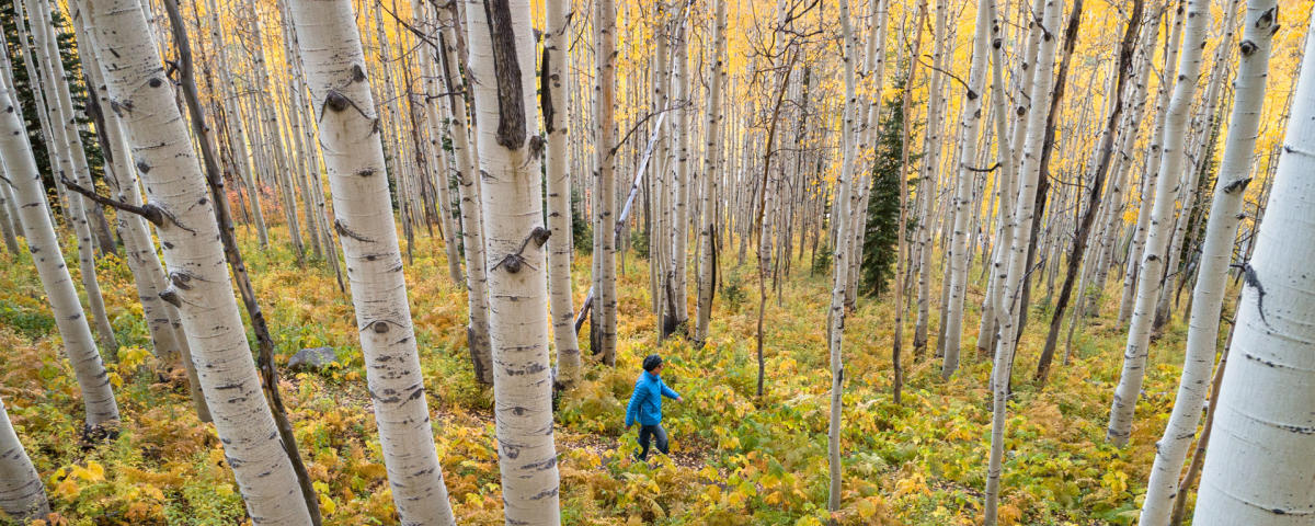 Steamboat Springs Recreation and Activities in the Rocky Mountains