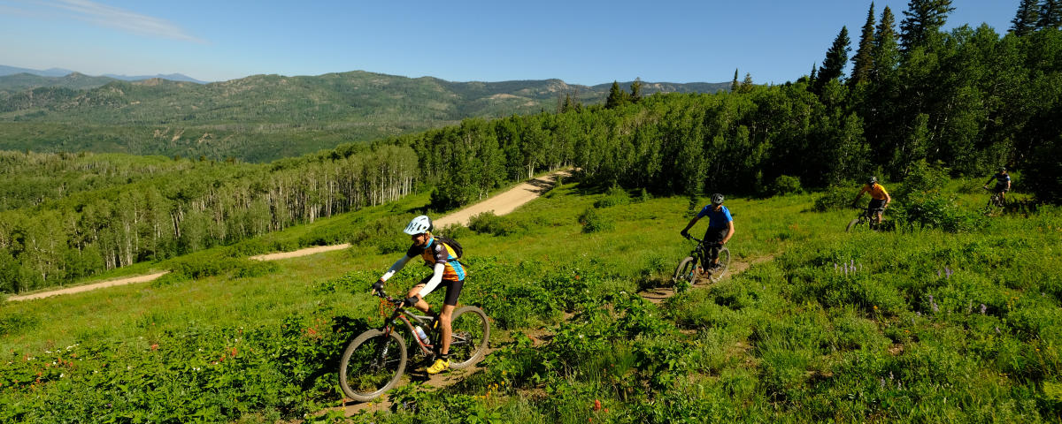Emerald mountain bike trails outlet