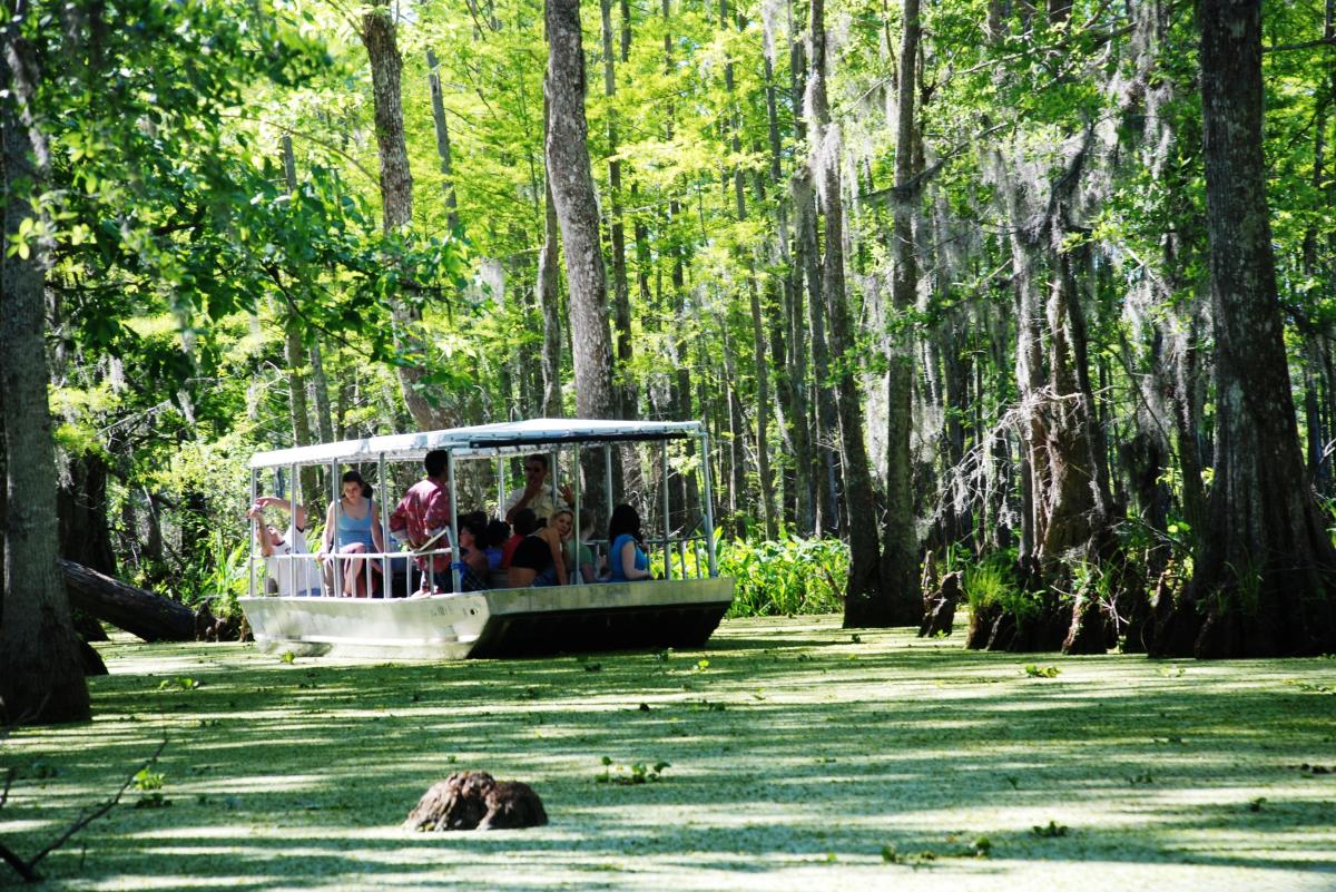 Honey Island Swamp in St. Tammany Parish