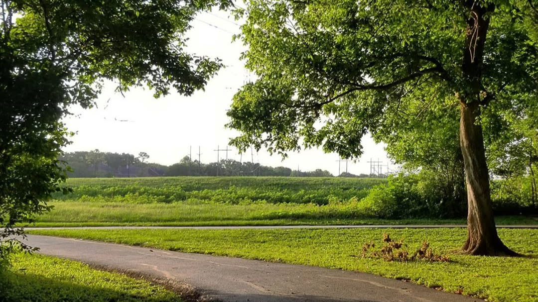 Spend a Sweet Day in Sugar Land