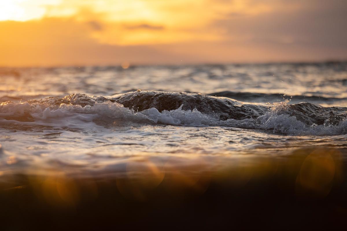 Sunshine Coast Tourism Signs Sustainable Tourism 2030 Pledge