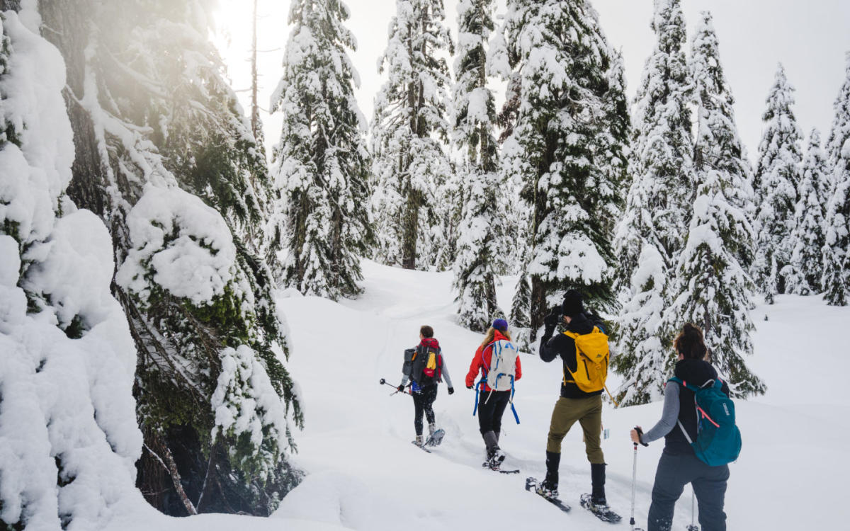 Explore the Trails Dakota Ridge Sunshine Coast Tourism