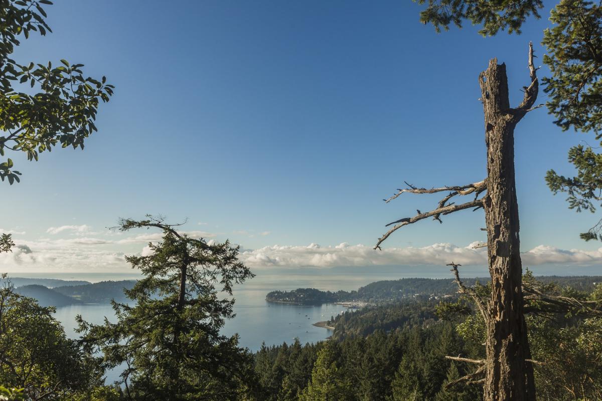 Explore the Trails: Soames Hill | Sunshine Coast Tourism