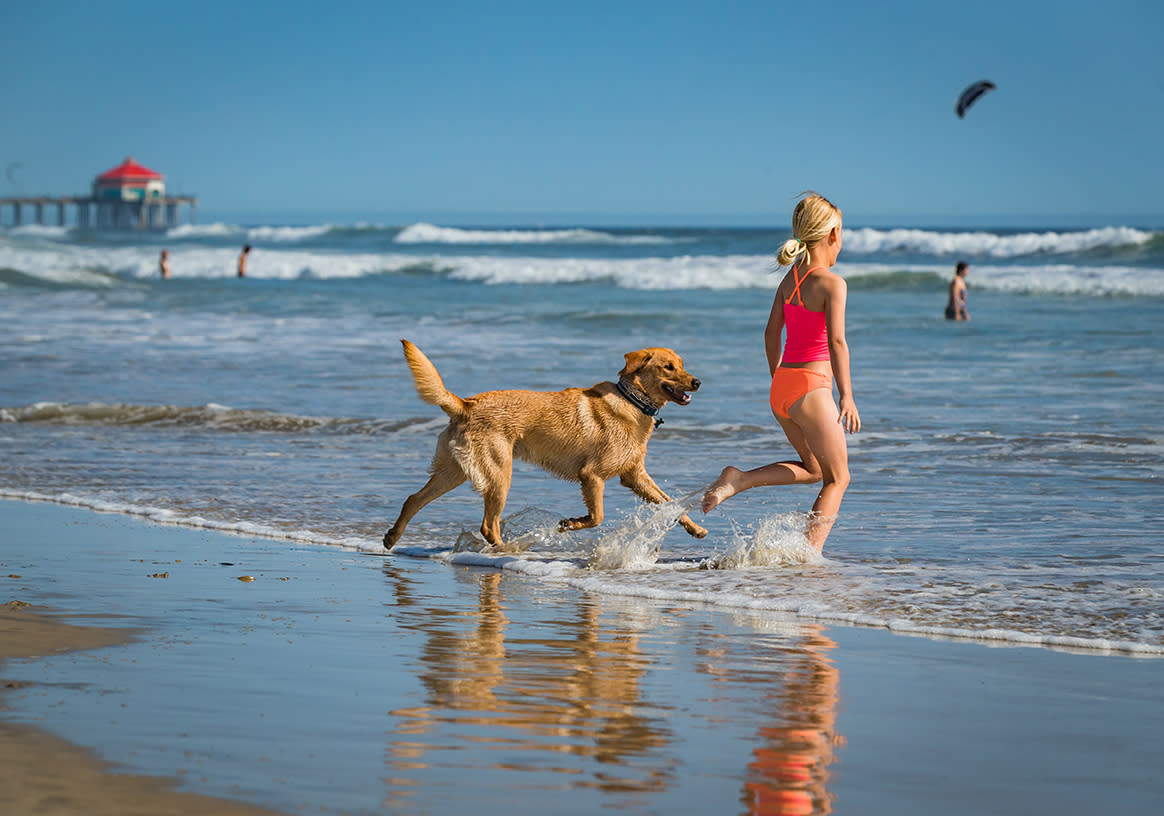 Unleash the Fun: Water Parks for Dogs in California