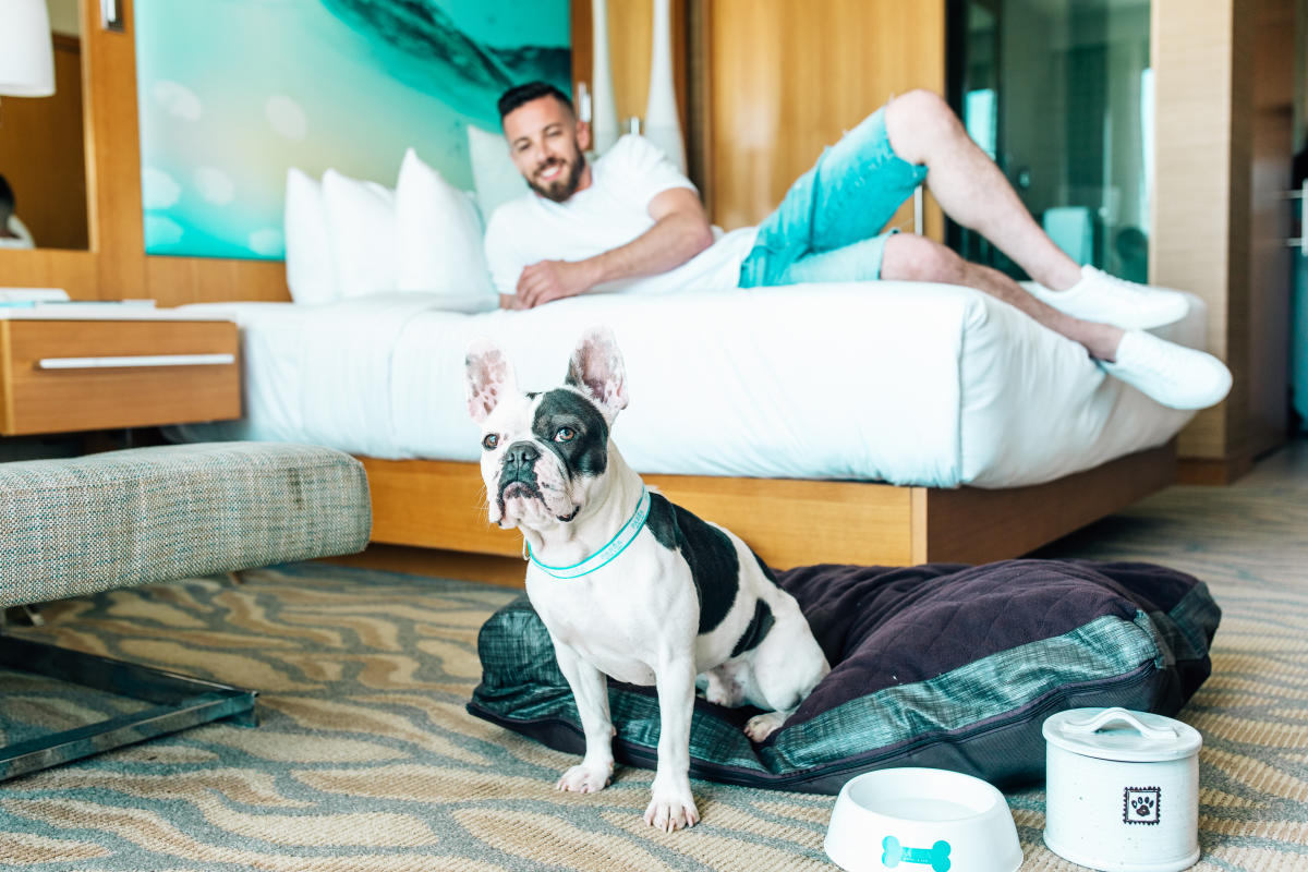 Pet Friendly Hotels in Huntington Beach | Dog Friendly Hotels