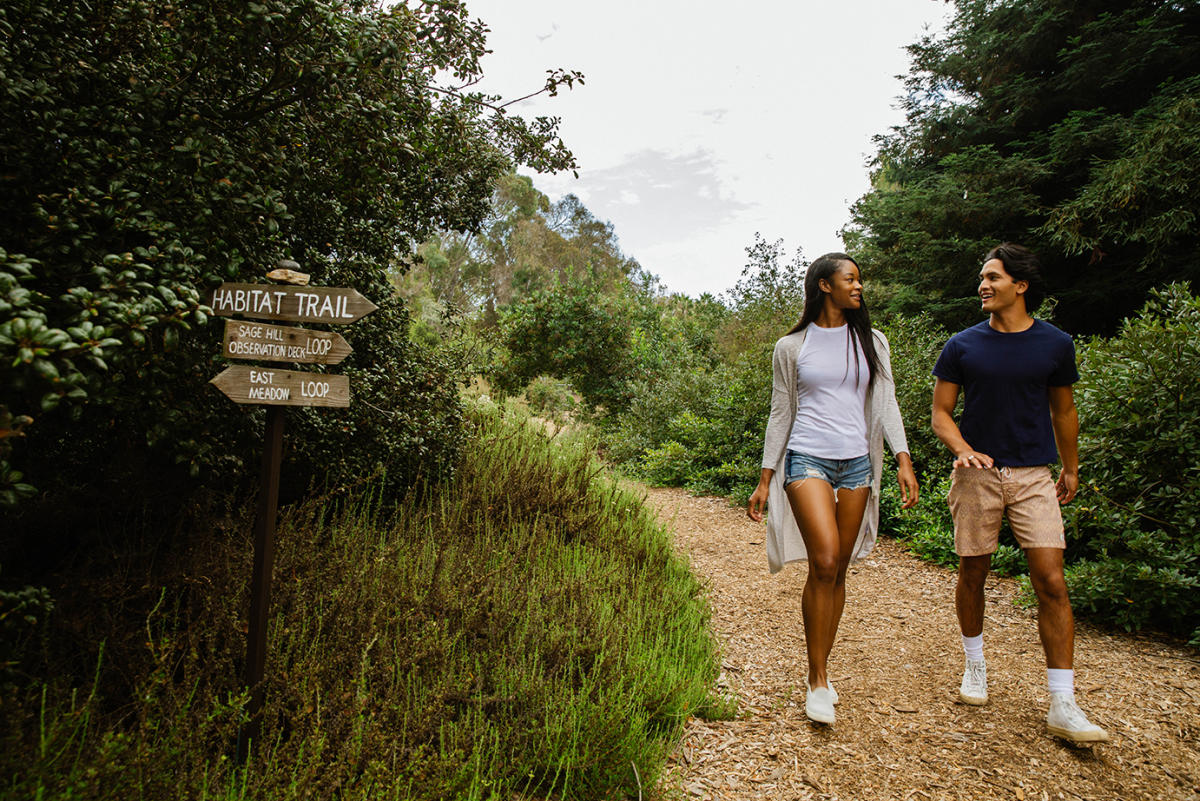 Outdoor Activities in OC - Visit Huntington Beach