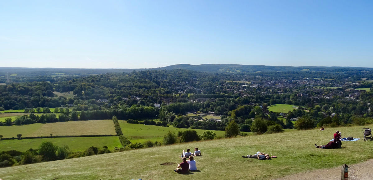 Perfect picnic spots in Surrey Visit Surrey