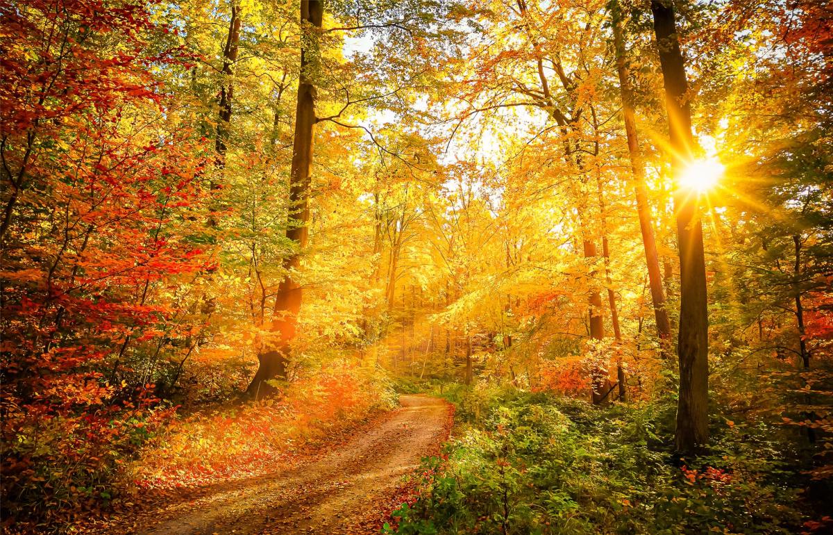 Fall Photography Tips in Susquehanna River Valley | Parks & Trails