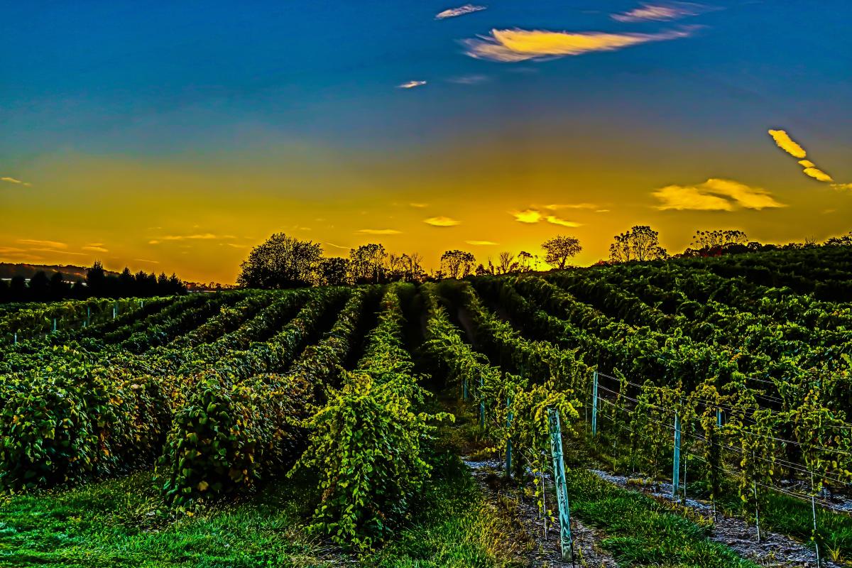 Wineries Susquehanna River Valley Visitors Bureau