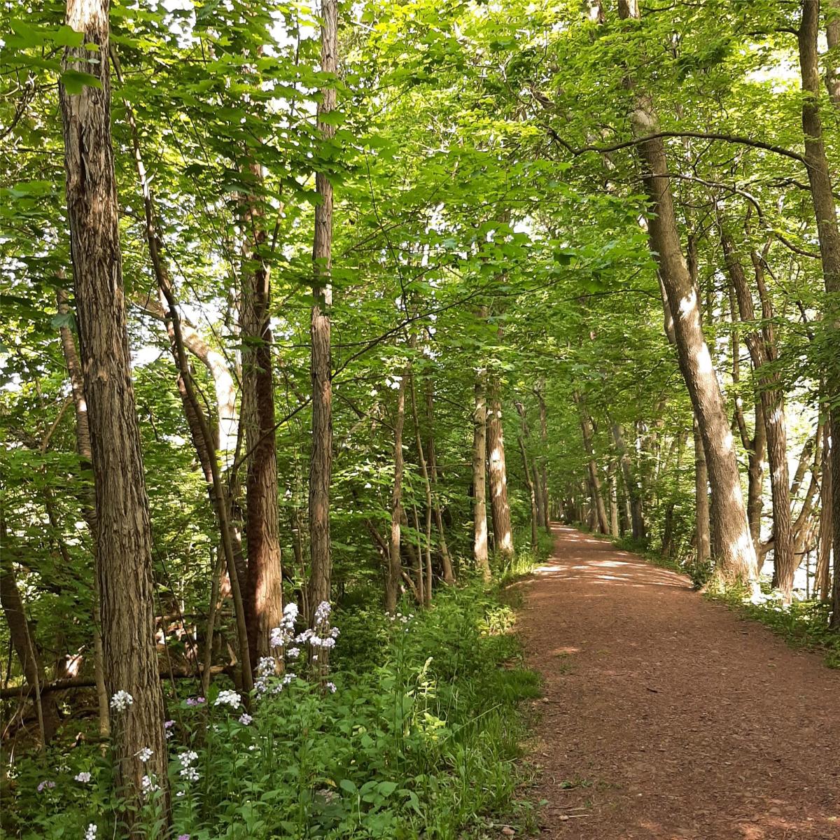 Watsontown Canal Boat Park & Towpath Susquehanna River Valley