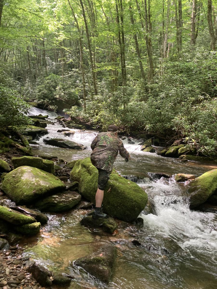 Forney Creek Fishing