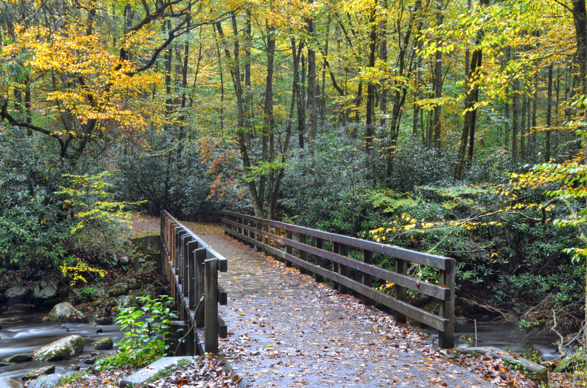 Kephart Prong Fishing