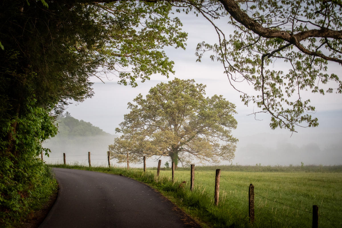 Cades Cove Things to Do in the Great Smoky Mountains National Park