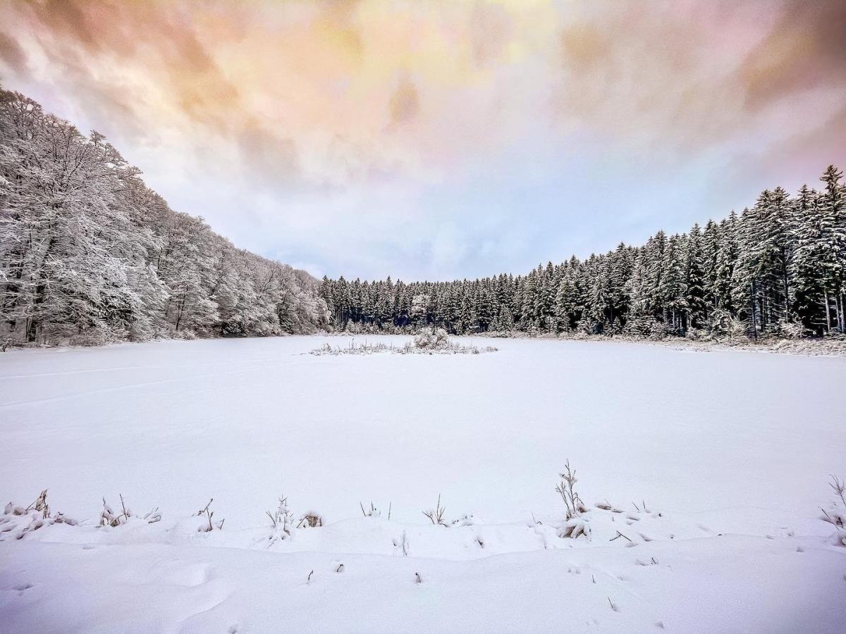 Things to do this Winter in Syracuse NY