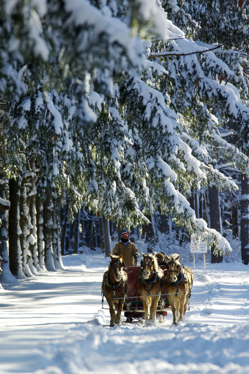 Top Winter Activities In Syracuse, NY Visit Syracuse