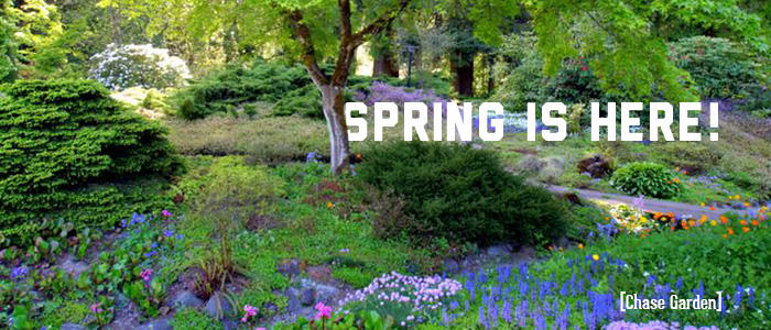Henry County Spring Spring has sprung in Tacoma + Pierce County