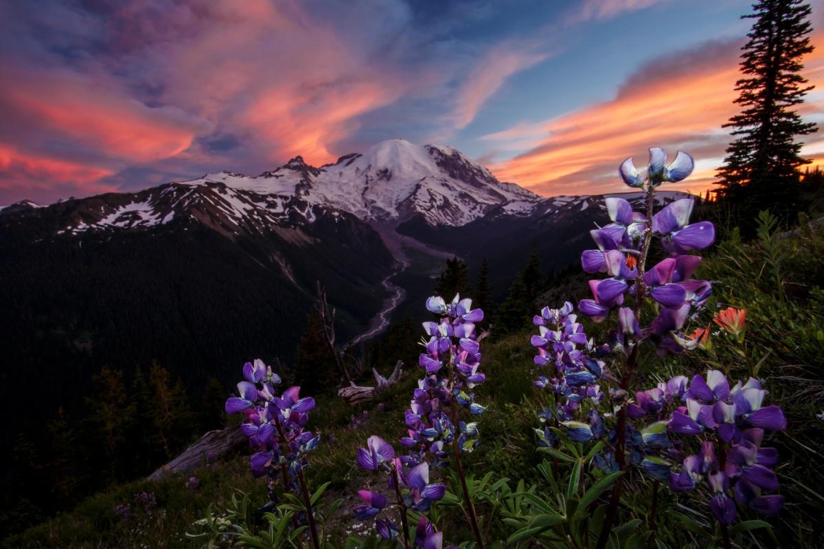 5 things to do in this